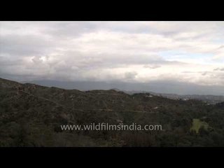 Wandering clouds above North America