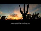 Timelapse of setting sun in the tropics of Southwestern US
