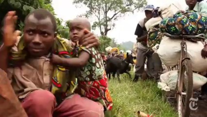 Congo :  The Road to Ruin