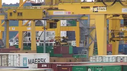 MERCE CONTRAFFATTA, SEQUESTRATI 38.000 CAPI