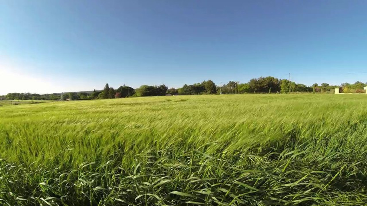 Time Lapse en Campagne
