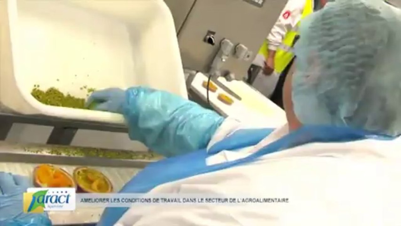 Conditions de travail dans l'Agroalimentaire : reportage en Aquitaine