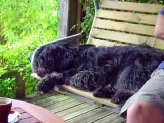 3 août 2013 - Enfin une sieste cool !