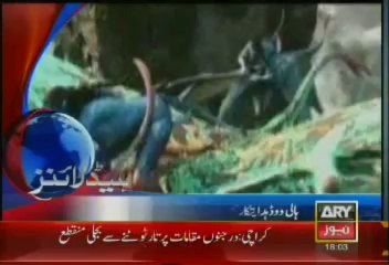 Headlines - 1800 - Saturday - Aug - 3 - 2013
