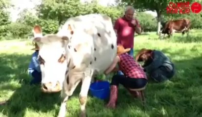 ouest-france. La future mariée est dans le pré