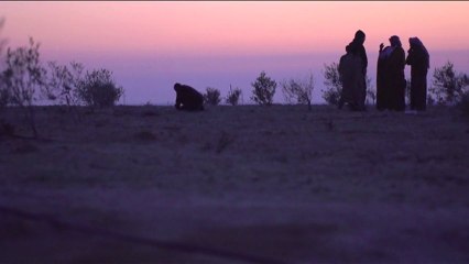 Arabic Spring - New Politician - BBC (Long Version)