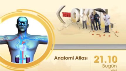 Anatomi Atlası 21.10'da TRT Okul'da