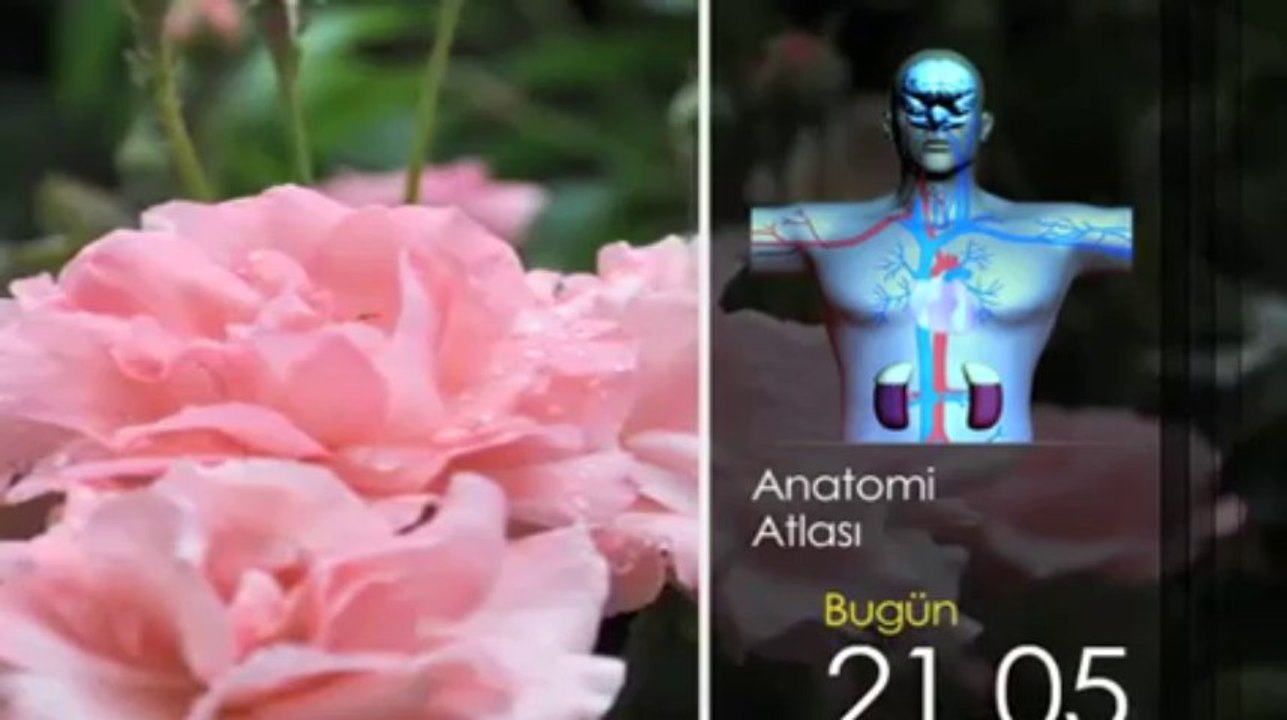 Anatomi Atlası, 27 Nisan Cumartesi 21.05'te TRT Okul'da