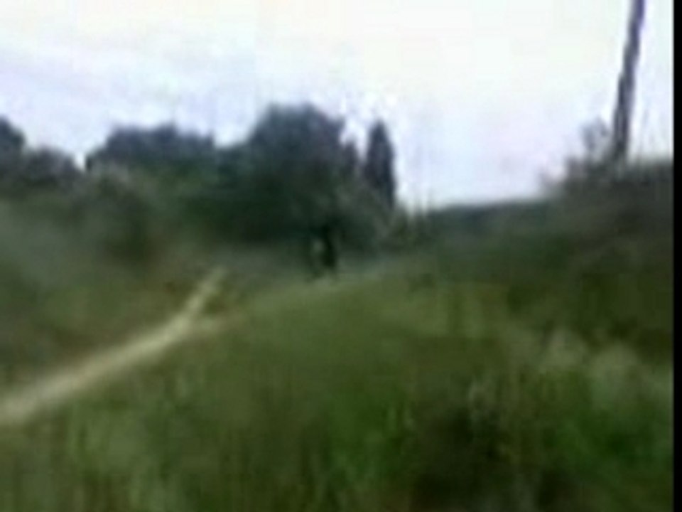 mtdr