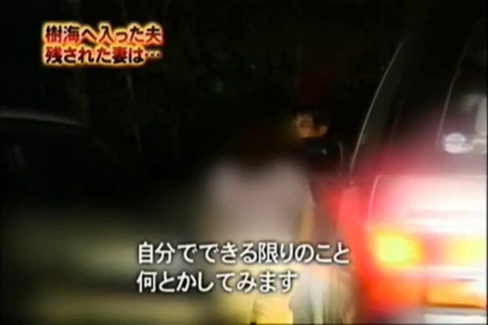 青木ヶ原樹海 ２ ５ 動画 Dailymotion