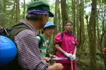 青木ヶ原樹海 ３／５