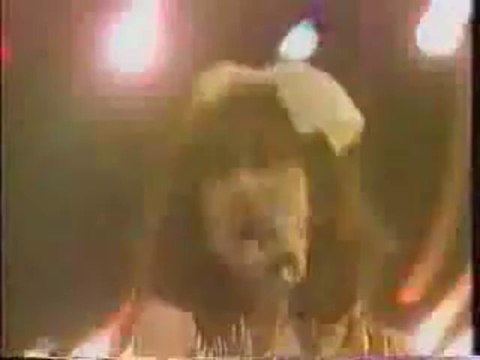 戸川純 パンク蛹化の女