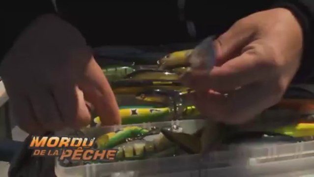 Mordu de la pêche - Québec Cote-Nord