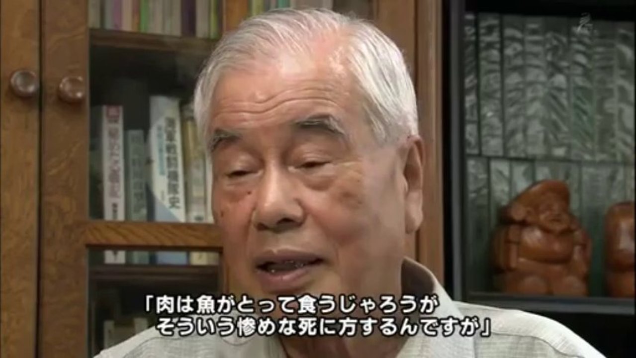 ロケット特攻兵器 桜花 生き残った特攻隊員と開発者の証言記録