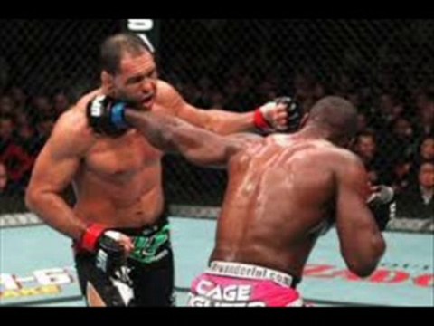 UFC 163: Lyoto Machida vs. Phil Davis Hd Fight