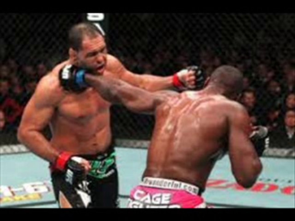 UFC 163: Lyoto Machida vs. Phil Davis Hd Fight