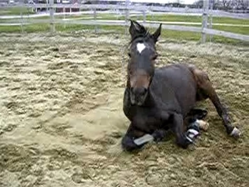 Bain de boue