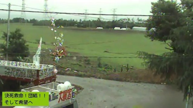 20130728 針さん、ぎんちゃん①