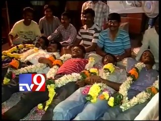 AP bifurcation heat hits Mega family