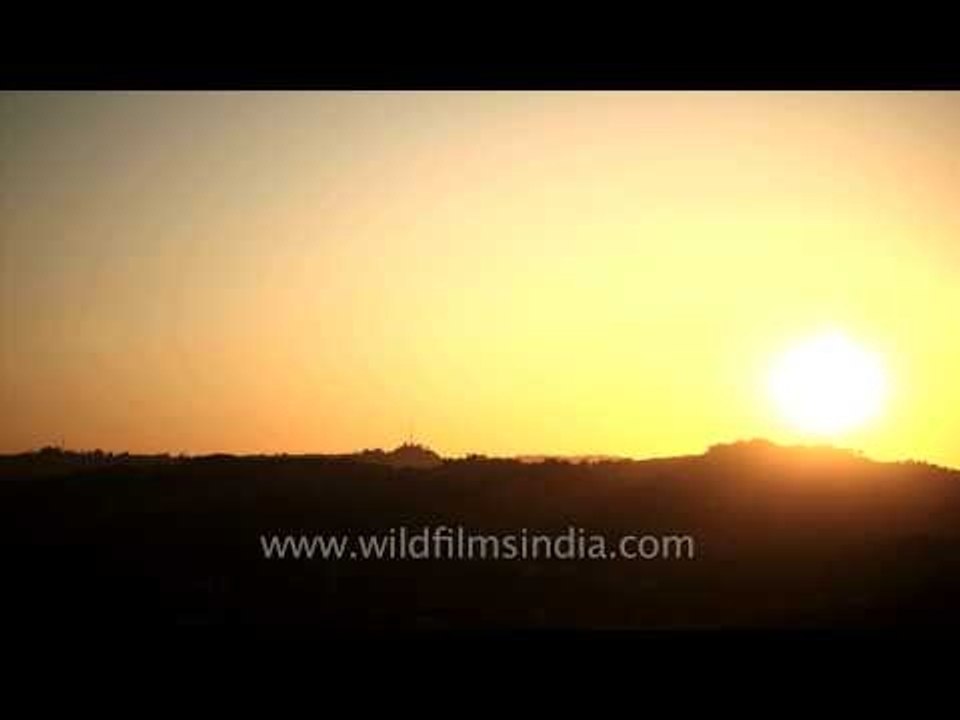 Hollywood Hills sunset time lapse, Los Angeles