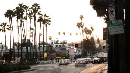 Hollywood Blvd Street USA Time Lapse 2