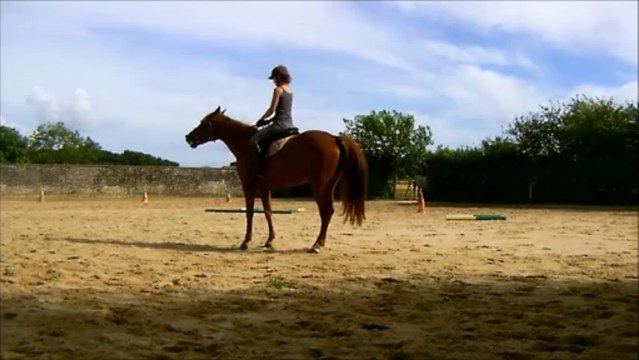 Séance du 28/07 - Détente au trot avec transitions