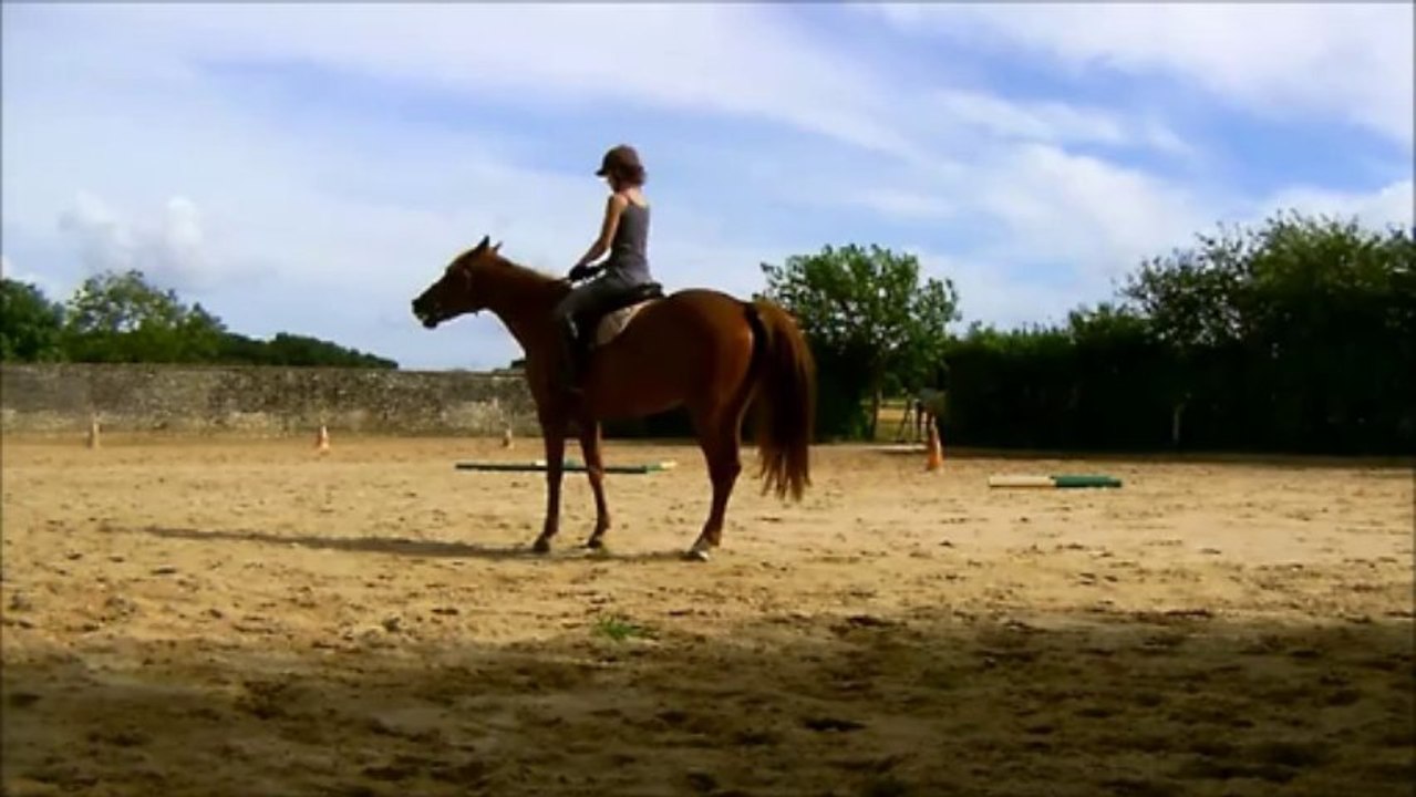 Séance du 28/07 - Détente au trot avec transitions