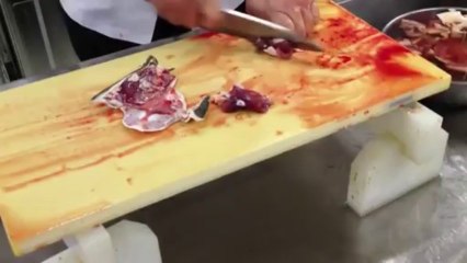 スッポンの捌き方