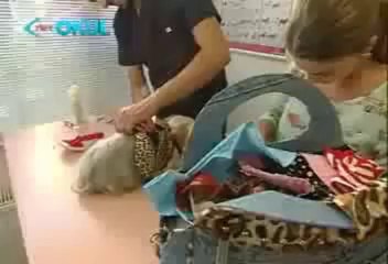 Bir Evde 26 Aralık 2012 Bölüm Tanıtımı