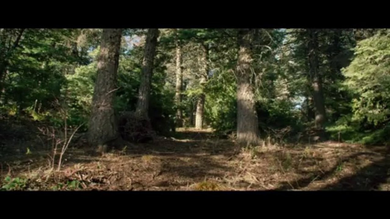 Lone Survivor