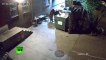 CCTV: Bear moonwalks with trash can from restaurant in US