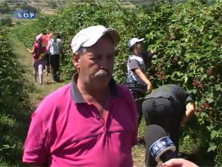 Selo moje, 04. avgust 2013.