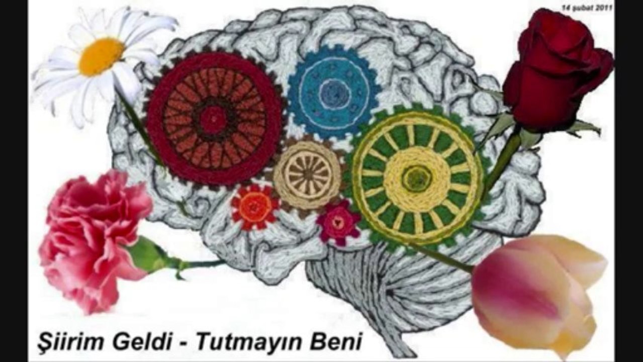 AHMET ERHAN - Bugün de ölmedim anne-1