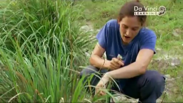 Дикая наука. Зов дикой природы