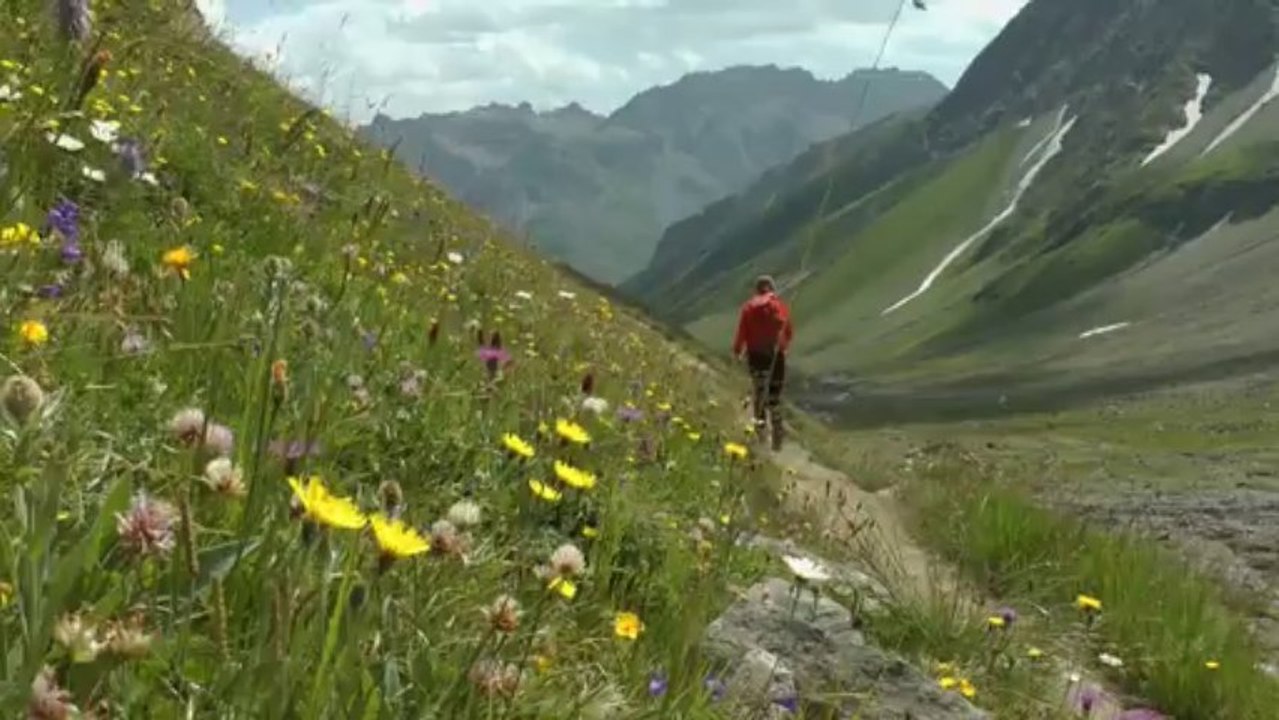Aiguilles d'Arves (centrale et tête de chat)
