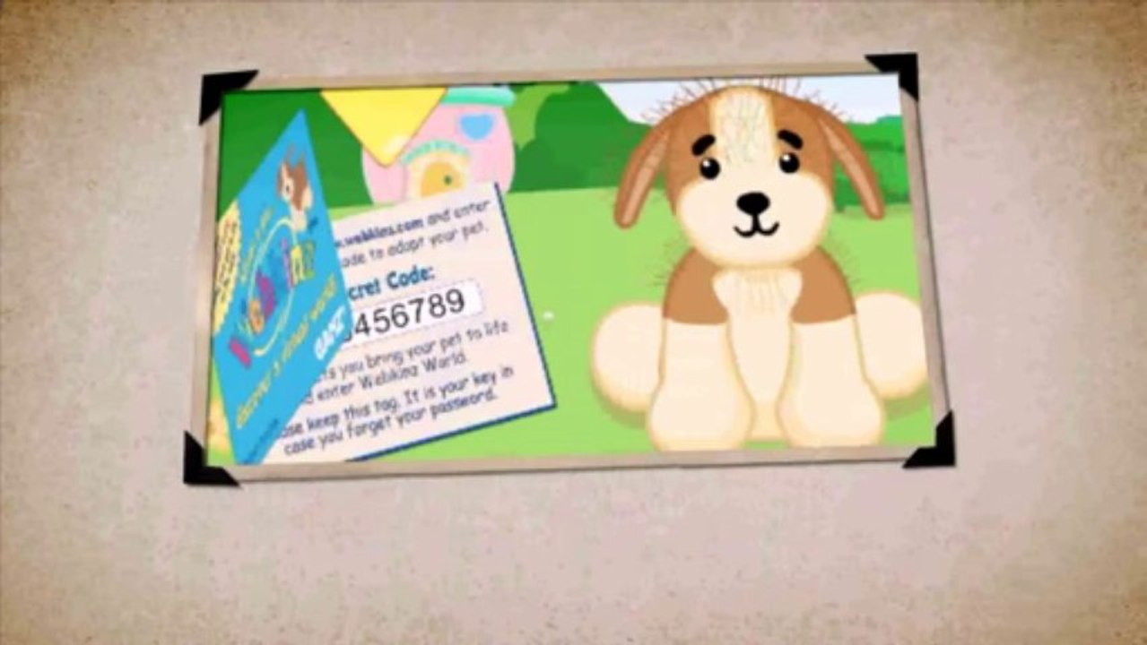 Win Webkinz Codes