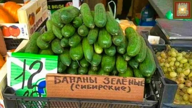 лариса черникова -7521-2013- рука в руке HD