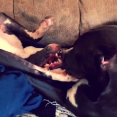 Lazy afternoon...just wake'n up :)