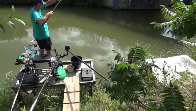 pêche du mulet au coup à la grande canne