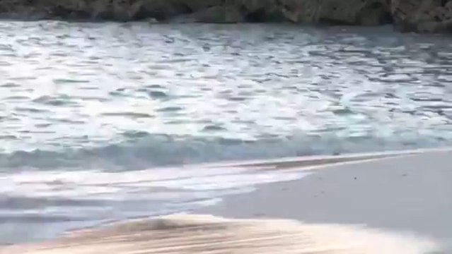 Hearts Together / Album: Hearts Together / Artist: Michael Benghiat