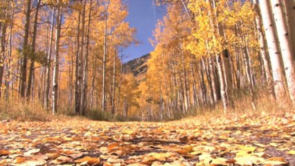 Song: Highland Trails / Album: Sunlight / Artist: Michael Benghiat