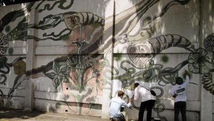 earthrise - A breath of Fresh Air