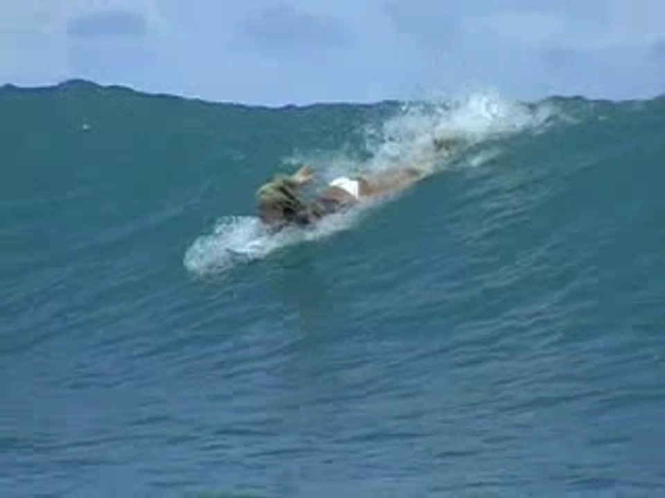 The Girl Can Surf!