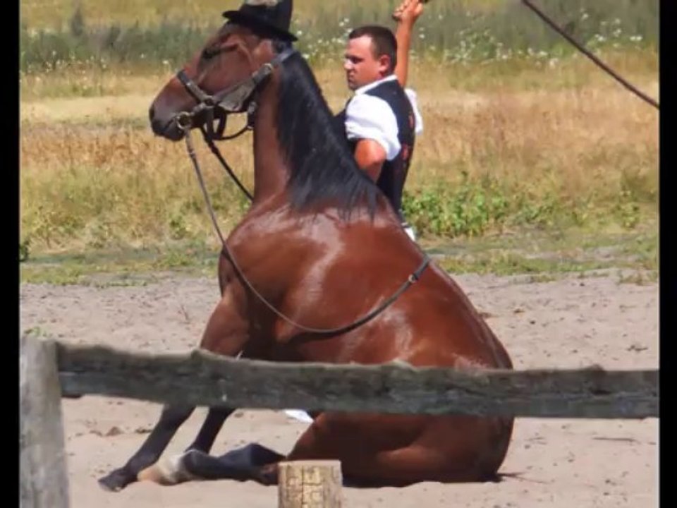 sur la puszta de Bugac