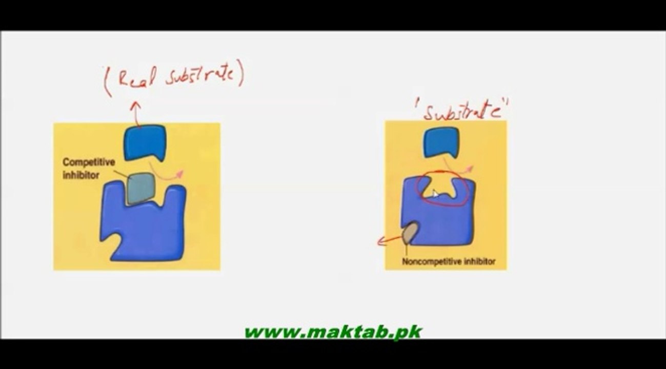 FSc Biology Book1, CH 3, LEC 2, Enzymes Characteristics, Factors Effecting Rate of Enzyme Action and Inhibitors