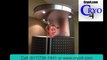 Whole Body Cryotherapy Colleyville-Dallas, TX WBC Whole Body Cryotherapy DFW