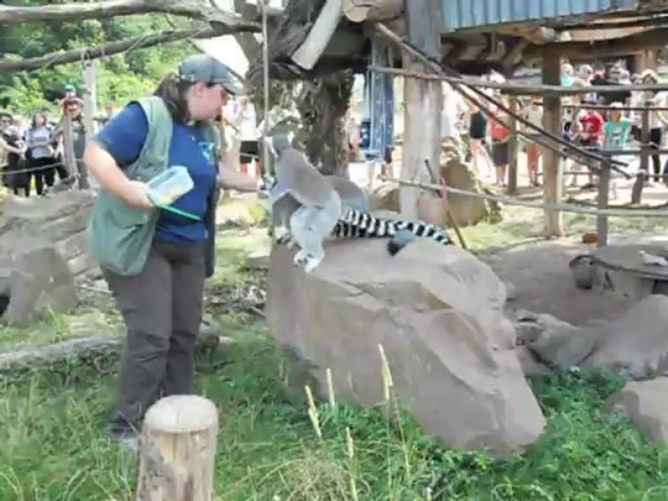 PARC ANIMALIER DE SAINT - CROIX  57810 RHODES  M&F s