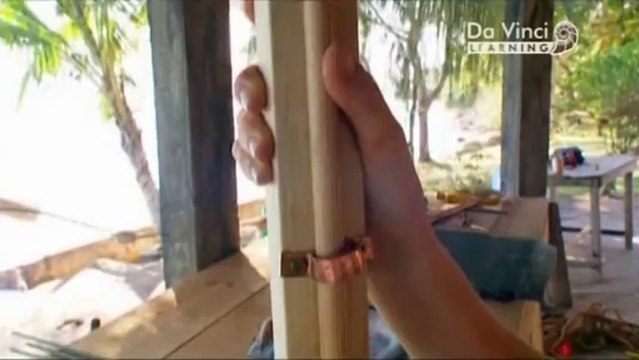 Дикая наука. Подводное погружение