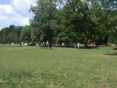Horse powered rollerblading jump goes wrong