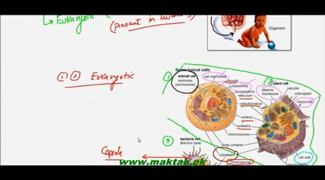 FSc Biology Book1, CH 4, LEC 2, Cell And its Types